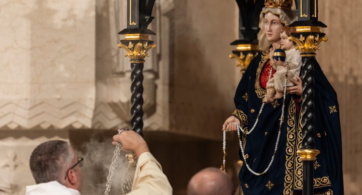 Thousands Gather to Honor Our Lady in Washington, D.C.!